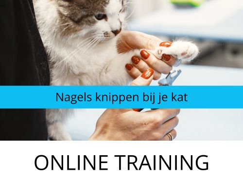 Leer nagels knippen bij je kat